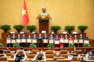 苏林出席国会常务委员会奖状颁授仪式